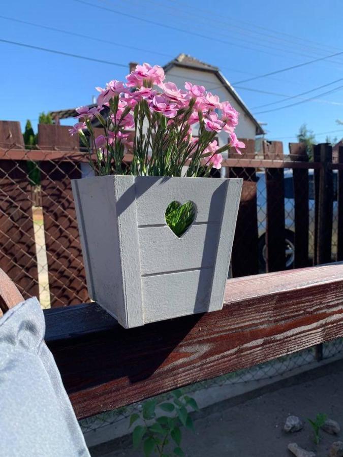 Mandi Apartman Veresegyház المظهر الخارجي الصورة